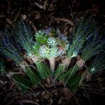 Wedding Gown | D + B