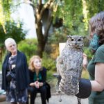 Wedding Gown | D + B